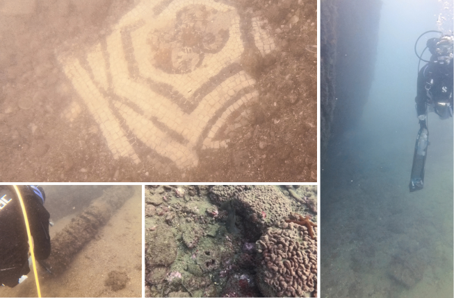 Collegamento a Acidifying Seas Threaten Underwater Archaeological Heritage